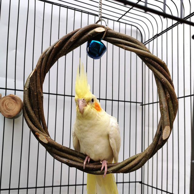 Bird Supplies