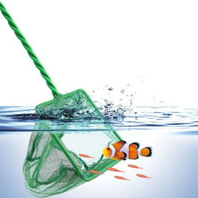 Fish Tank Cleaning Supplies