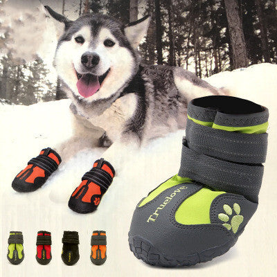 Pet Shoes & Socks