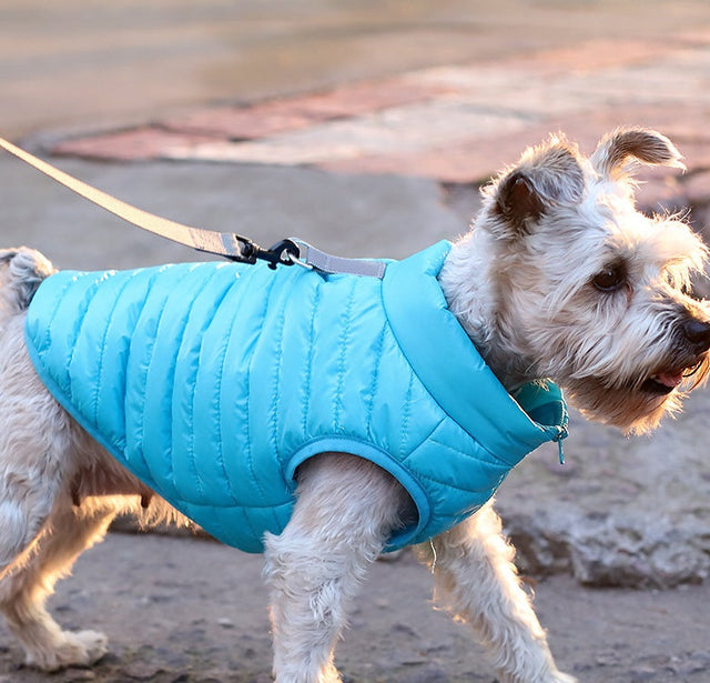 Pet Jackets