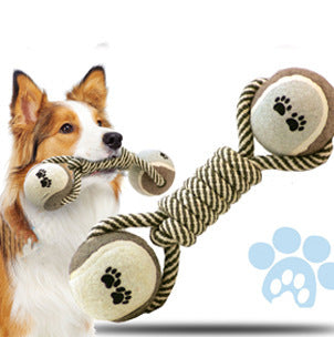 Pet Chase Toys