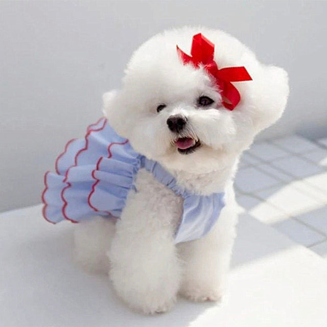 Pet Dresses