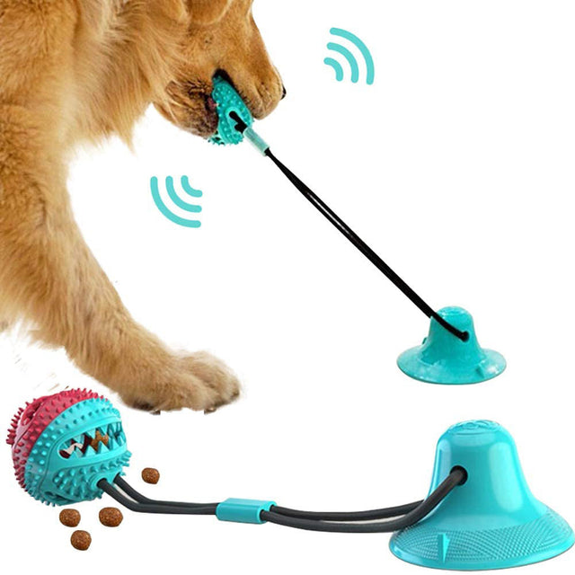 Pet Chew Toys