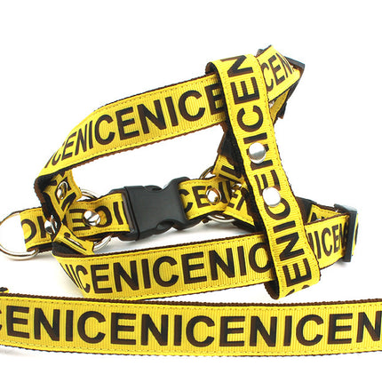 Pet Leash Dog Collar Dog Leash