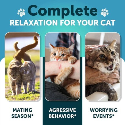 Do Not Sell On Amazon Hemp Cat Calming Treats For Stress & Anxiety Relief Cat Kittens Melatonin