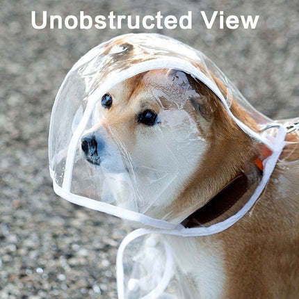 Pet Raincoat Transparent Dog