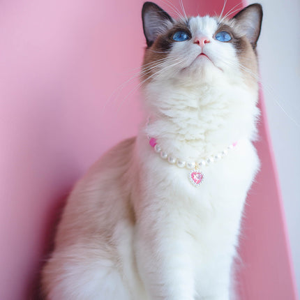 Pet Cat Beads Love Necklace