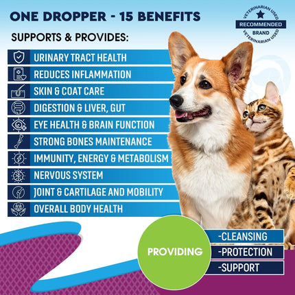 Cat And Dog Multivitamin Liquid With Glucosamine & Cranberry 15 In 1 Health Supplements For Urinary Tract Kidney Bladder Hip And Joint Skin And Coat 60 Ml