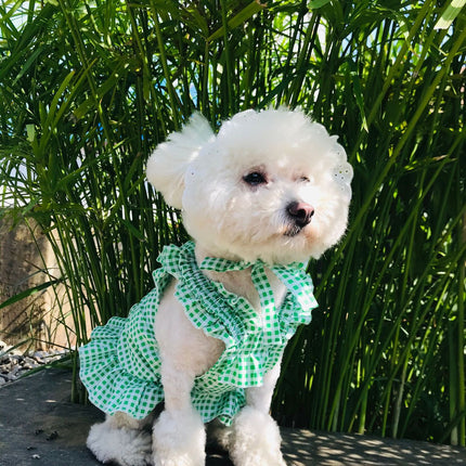 Creative Plaid Dog Dress Set