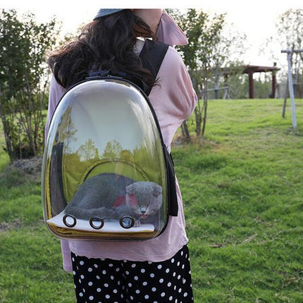 Transparent Backpack Pet Backpack