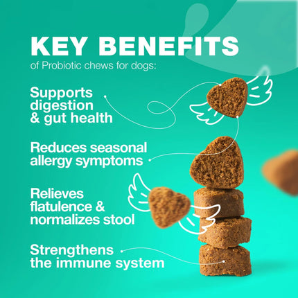 Do Not Sell On Amazon Probiotics For Dogs Support Gut Health Immunity Yeast Balance Itchy Skin Allergies Probiotics And Digestive Enzymes Coprophagia Deterrent For Dogs 180 Probiotic Chews For Dogs