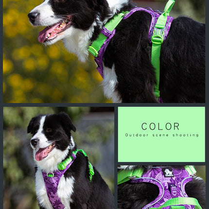 Dog leashes dog chain vest vest straps