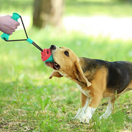 New pet products pet toy pull rope toy training ball