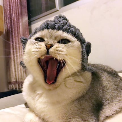 Buddha wool Cat Hat pet knitting hat cos hat