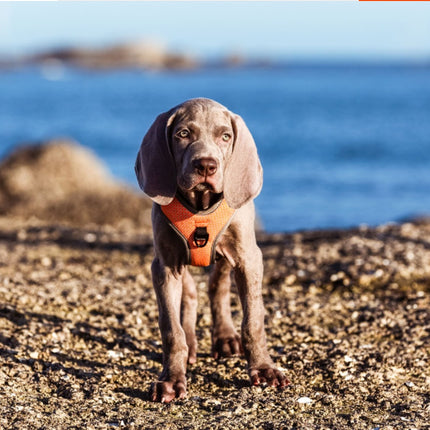 Pet Products Explosion Proof Flush Strap Reflective Chest Vest