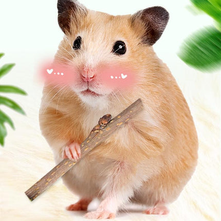 Drying Bunny My Neighbor Totoro Hamster Snacks Branch Chewing Toy