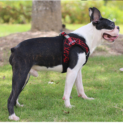 Pet supplies chest harness pet leash in stock