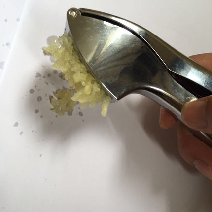Stainless Steel Garlic Crusher