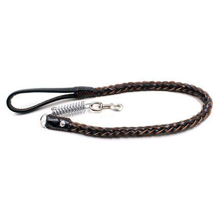 Pet Eight-strand Cowhide Spring Traction Rope