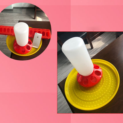 The Bird Feeds The Water Bottle To The Pigeon With A Waterer