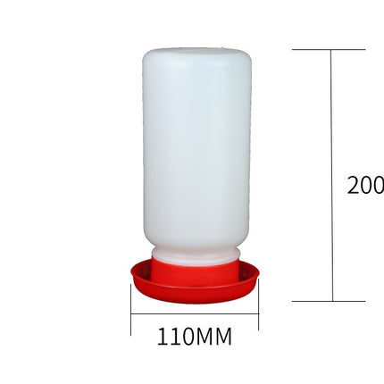 The Bird Feeds The Water Bottle To The Pigeon With A Waterer