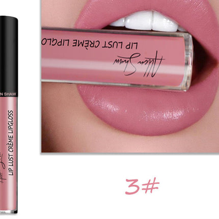 Silky Cream Texture Lip Gloss Aliexpress Shopee Cross-Border Exclusive Lip Glaze Lip Gloss Lipstick