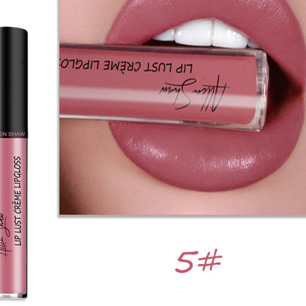 Silky Cream Texture Lip Gloss Aliexpress Shopee Cross-Border Exclusive Lip Glaze Lip Gloss Lipstick