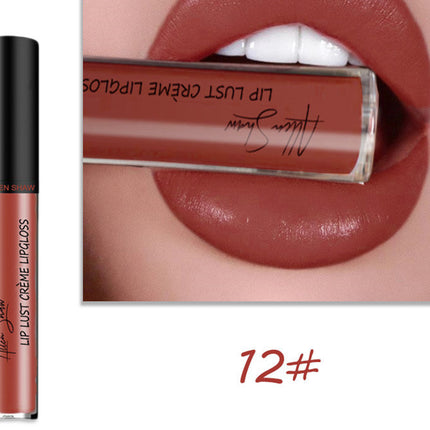 Silky Cream Texture Lip Gloss Aliexpress Shopee Cross-Border Exclusive Lip Glaze Lip Gloss Lipstick