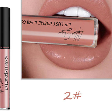 Silky Cream Texture Lip Gloss Aliexpress Shopee Cross-Border Exclusive Lip Glaze Lip Gloss Lipstick