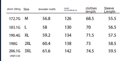 Personal Leisure Stand-up Collar Down Jacket Men's High Street Loose Warm