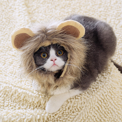 Lion headgear cat hat cute transformation decoration
