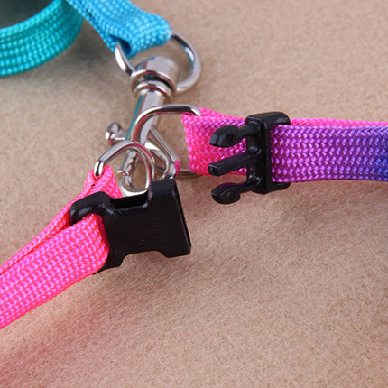 Leashes colorful leashes