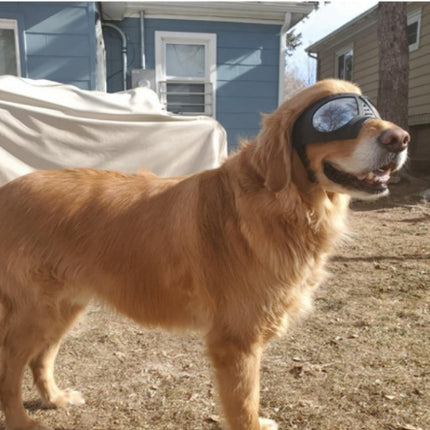 Dog Glasses Waterproof Snow-Proof Pet Goggles Soft Frame Comfortable Sunglasses For German Shepherd Dog