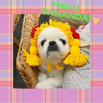 Pomeranian Teddy Dog Funny Cat Headgear
