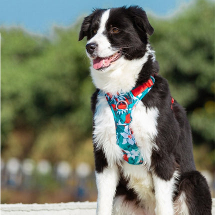 Dog leashes dog chain vest vest straps