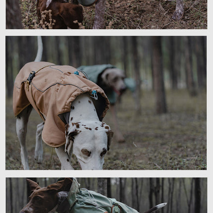 Outdoor Soft Shell Waterproof Windproof Warm Dog Soft Shell Jacket