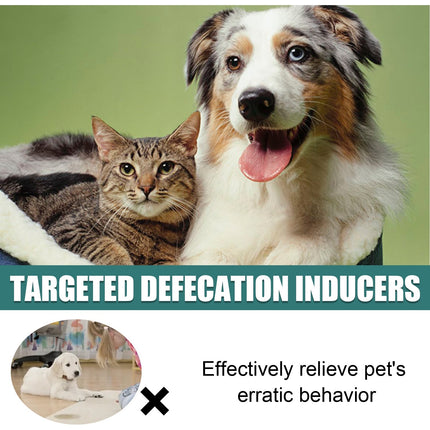 Pet Targeted Defecation Inducer Auxiliary Training Pet Urine Targeted Defecation Inducer