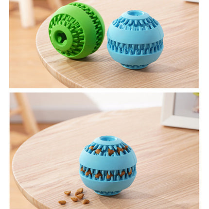 Pet molar ball