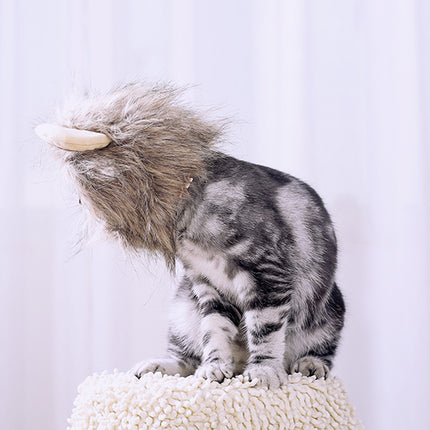 Lion headgear cat hat cute transformation decoration