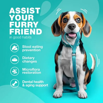 No Poo Chews For Dogs Coprophagia Deterrent For Dogs Forbid For Dogs Stool Eating Deterrent Dog Probiotics For Digestive Health Digestive Gut Immune Health Treats No Poop Eating For Dogs