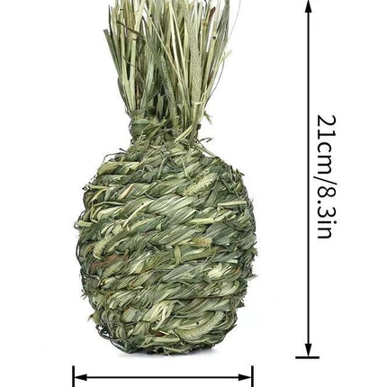 Different Pet Rabbit Relieving Stuffy Toys A Variety Of Timothy Grass Pet Supplies Totoro Guinea Pig Bite And Gnaw Molar Snacks