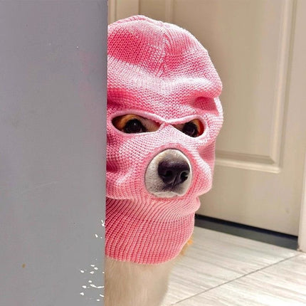 Corgi Puppy Headgear Hat Dog Creative Headdress