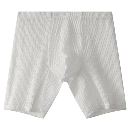 Lace Men's Lengthened Boxers Transparent