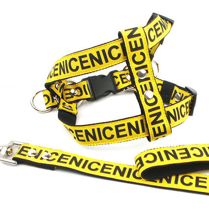 Pet Leash Dog Collar Dog Leash