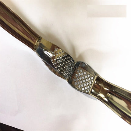 Stainless Steel Garlic Crusher