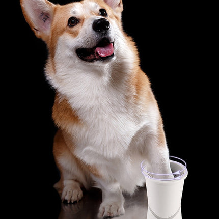 Pet electric foot washer