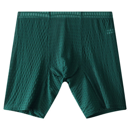 Lace Men's Lengthened Boxers Transparent