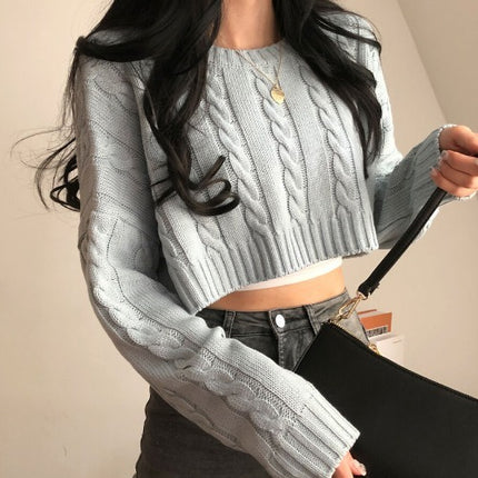 Small Cropped Long Sleeve Crew Neck Pullover Sweater