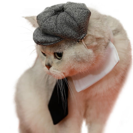 Pet Cat Gentleman Beret Tie Photo Props