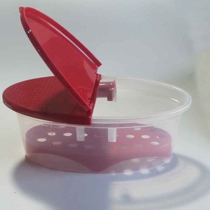 Pasta box pasta bowl